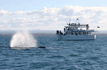 Huskisson NSW Accommodation Nelson Bay