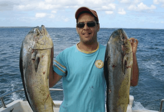 Jervis Bay Fishing and Charters - Accommodation Nelson Bay