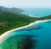 Jungle Tours and Trekking - Accommodation Nelson Bay