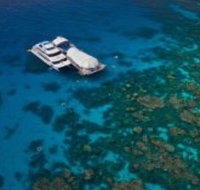 Great Adventures Reef and Green Island Cruises - Accommodation Nelson Bay