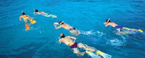 Aristocat Snorkel And Scuba Port Douglas - Accommodation Nelson Bay 4