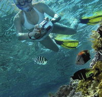 Calypso Reef Charters - Accommodation Nelson Bay