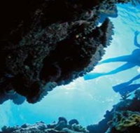 Deep Sea Divers Den - Accommodation Nelson Bay