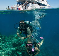 Down Under Cruise and Dive - Accommodation Nelson Bay