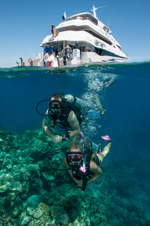 Down Under Cruise And Dive - Accommodation Nelson Bay 0