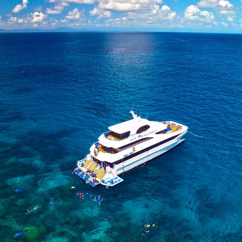 Down Under Cruise And Dive - Accommodation Nelson Bay 1
