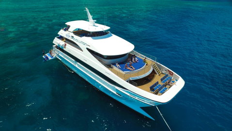 Down Under Cruise And Dive - Accommodation Nelson Bay 2