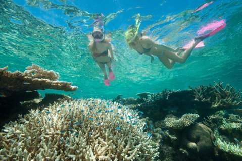 Down Under Cruise And Dive - Accommodation Nelson Bay 4