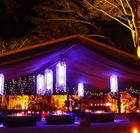 Flames Of The Forest - Accommodation Nelson Bay