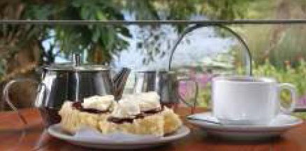 Food Trails Tours - Accommodation Nelson Bay 2