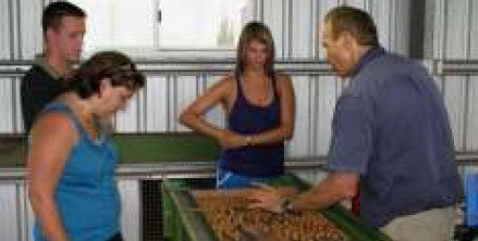 Food Trails Tours - Accommodation Nelson Bay 3