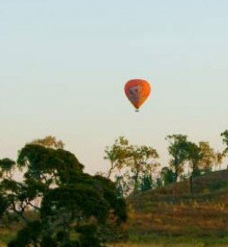 Hot Air Balloon - Accommodation Nelson Bay 1