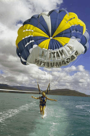 Island Parasail - Accommodation Nelson Bay 2