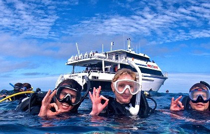 Pro Dive Cairns - Accommodation Nelson Bay 0