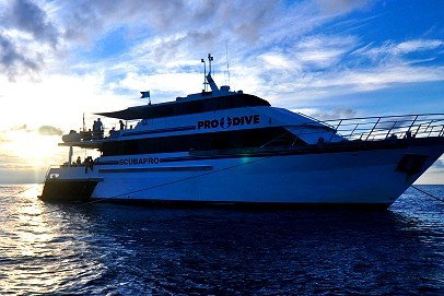 Pro Dive Cairns - Accommodation Nelson Bay 1