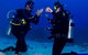 Pro Dive Cairns - thumb 2