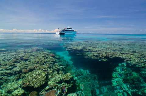 Pro Dive Cairns - Accommodation Nelson Bay 4