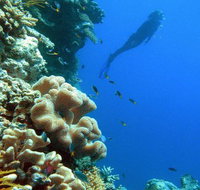 Reef Magic Cruises - Accommodation Nelson Bay