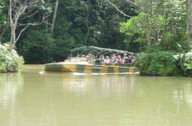 Tropic Wings Coach Tours - Accommodation Nelson Bay 1