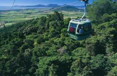 Tropic Wings Coach Tours - Accommodation Nelson Bay 2