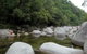 Tropical Horizons Tours - thumb 0