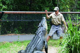 Tropical Horizons Tours - Accommodation Nelson Bay 4