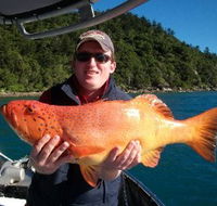 Gone Fishing by Coral Sea Fishing Charters Airlie Beach - Accommodation Nelson Bay