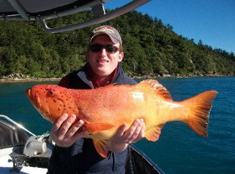 Gone Fishing By Coral Sea Fishing Charters Airlie Beach - Accommodation Nelson Bay 0