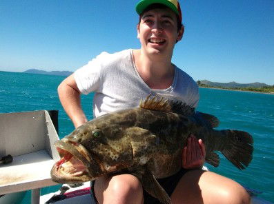 Gone Fishing By Coral Sea Fishing Charters Airlie Beach - Accommodation Nelson Bay 4