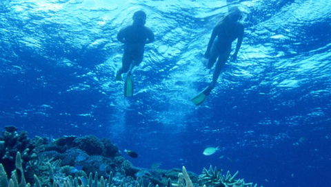 Air Whitsunday Day Tours - Accommodation Nelson Bay 1