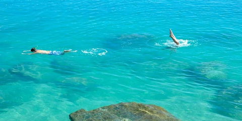 Salty Dog Sea Kayaking - Accommodation Nelson Bay 1