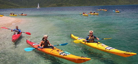 Salty Dog Sea Kayaking - Accommodation Nelson Bay 2