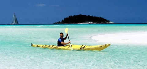 Salty Dog Sea Kayaking - Accommodation Nelson Bay 4