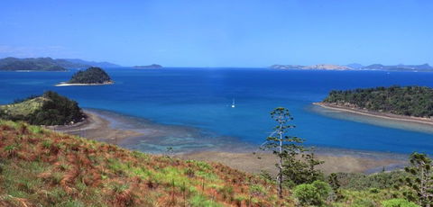 Salty Dog Sea Kayaking - Accommodation Nelson Bay 5