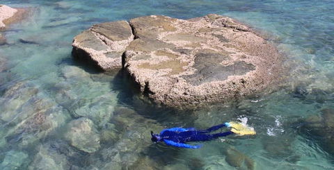 Salty Dog Sea Kayaking - Accommodation Nelson Bay 6