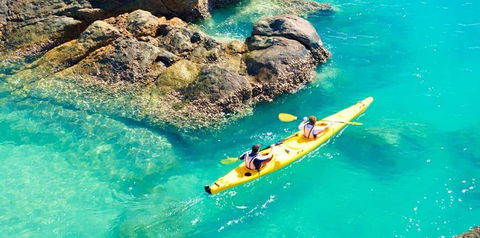 Salty Dog Sea Kayaking - Accommodation Nelson Bay 9