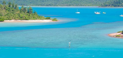 Salty Dog Sea Kayaking - Accommodation Nelson Bay 10