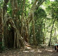 The Airlie Creek Track - Accommodation Nelson Bay