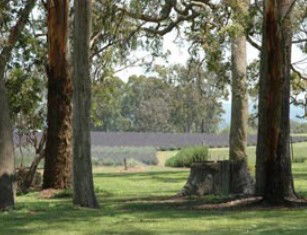 Aloomba Lavender - Accommodation Nelson Bay 0