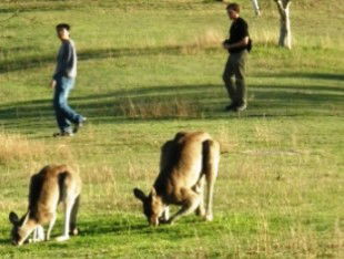 Southern Queensland Country QLD Accommodation Nelson Bay
