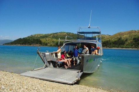 Scamper - Whitsunday Island Camping Connection - Accommodation Nelson Bay 0