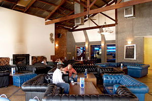 Mosskito - Accommodation Nelson Bay 0