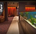 AB Hotel - Accommodation Nelson Bay