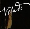 Veludo - Accommodation Nelson Bay
