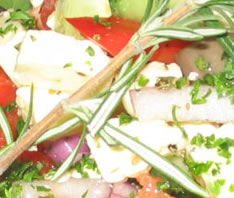 Casablanca Brasserie - Accommodation Nelson Bay 0