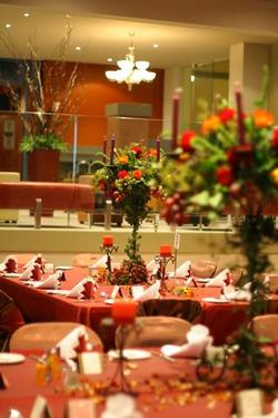 Forest Inn Hotel - Accommodation Nelson Bay 0