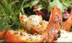 Fishermans Wharf Tavern - Accommodation Nelson Bay 1
