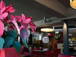 The Buckland Hotel - Accommodation Nelson Bay 1
