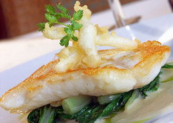 Duke Of Wellington Hotel - Accommodation Nelson Bay 1