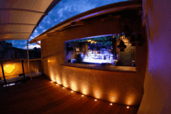 Circus Bar & Night Club - Accommodation Nelson Bay 1